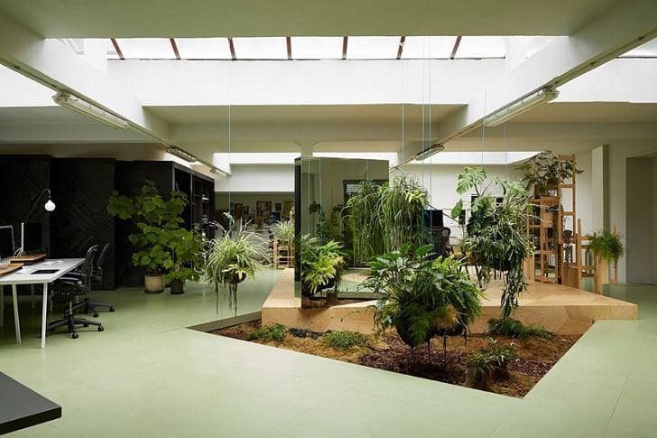 AMAZING LANDSCPING IDEAS FROM EXPERTS